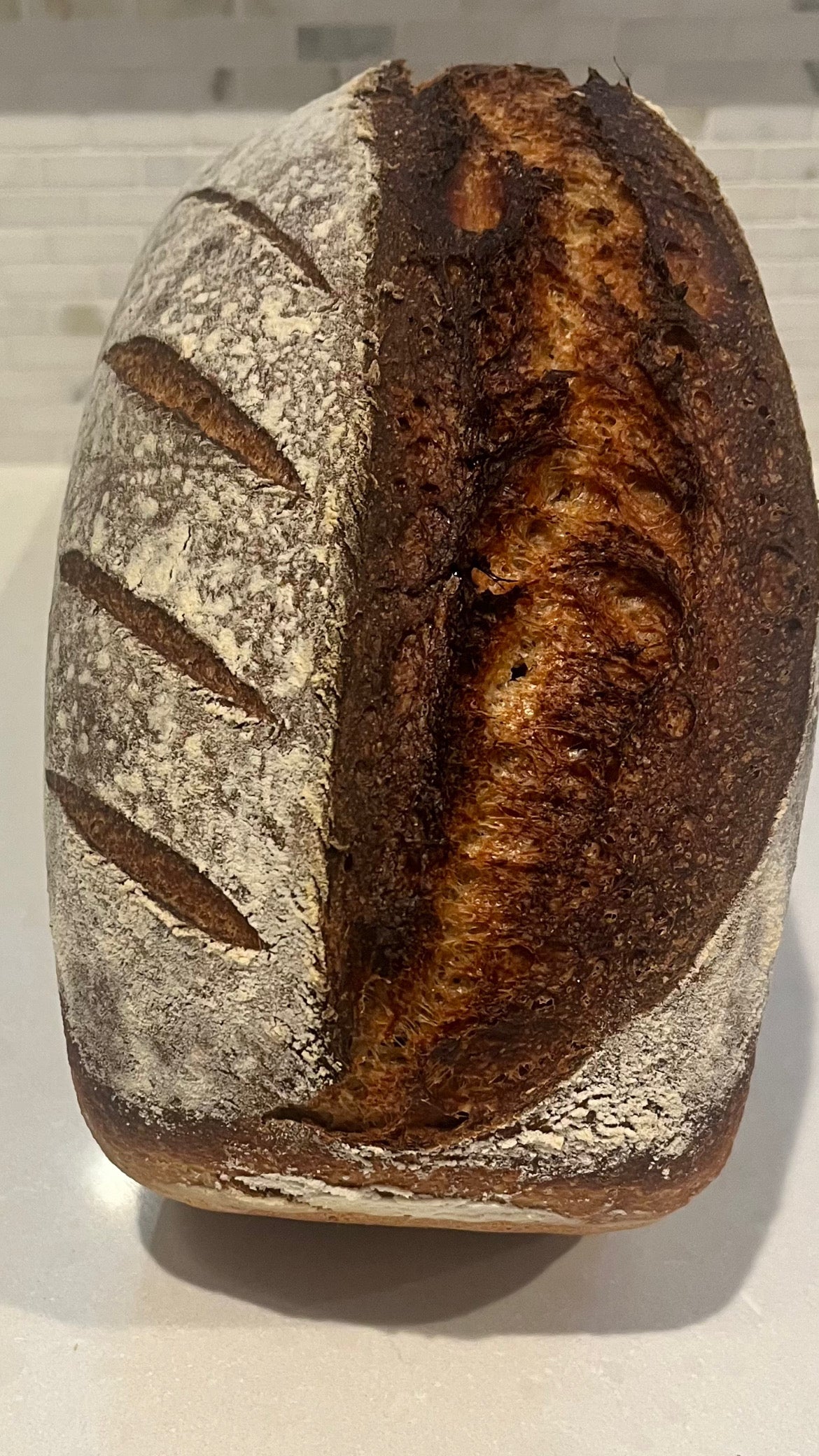 Whole Wheat Sourdough Sandwich Loaf